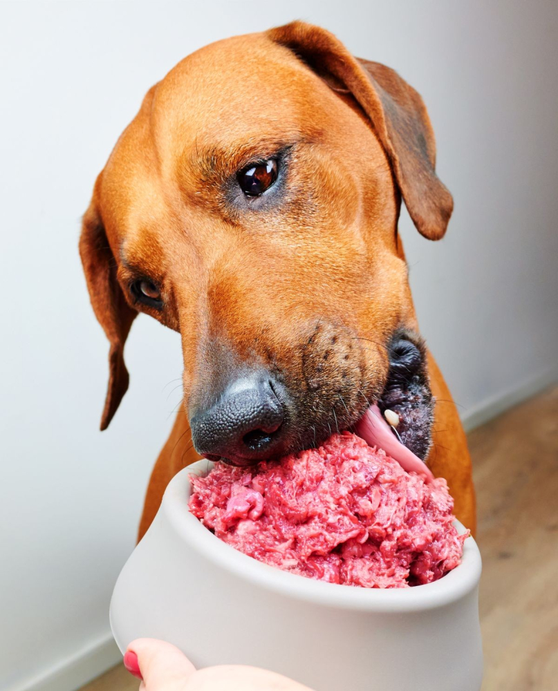 large_1826_Dog_Food_June_5_26_TRIM.jpg